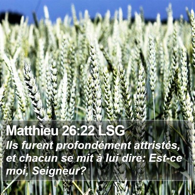 Matthieu 26:22 LSG Bible Verse Image