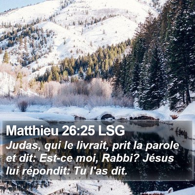 Matthieu 26:25 LSG Bible Verse Image