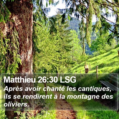 Matthieu 26:30 LSG Bible Verse Image