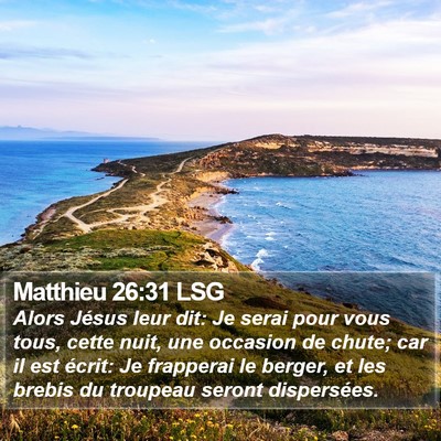 Matthieu 26:31 LSG Bible Verse Image