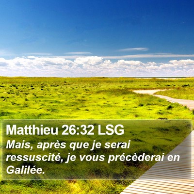 Matthieu 26:32 LSG Bible Verse Image