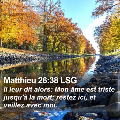Matthieu 26:38 LSG Bible Verse Image