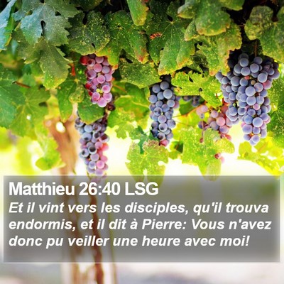 Matthieu 26:40 LSG Bible Verse Image