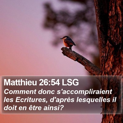 Matthieu 26:54 LSG Bible Verse Image