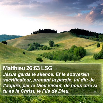Matthieu 26:63 LSG Bible Verse Image