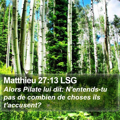 Matthieu 27:13 LSG Bible Verse Image