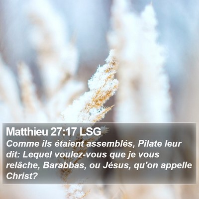 Matthieu 27:17 LSG Bible Verse Image