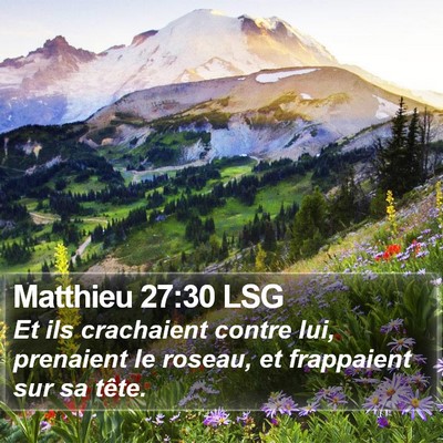 Matthieu 27:30 LSG Bible Verse Image