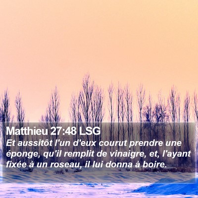 Matthieu 27:48 LSG Bible Verse Image