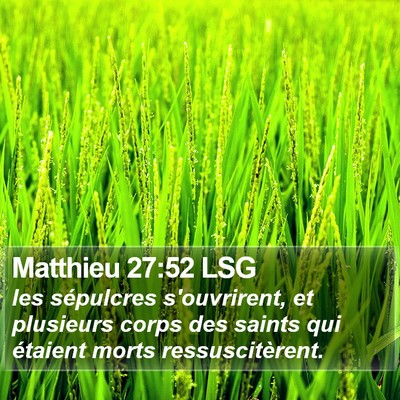 Matthieu 27:52 LSG Bible Verse Image