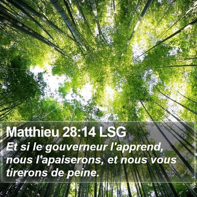 Matthieu 28:14 LSG Bible Verse Image