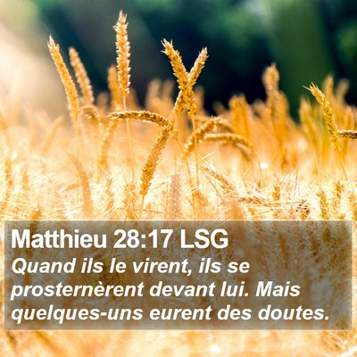 Matthieu 28:17 LSG Bible Verse Image