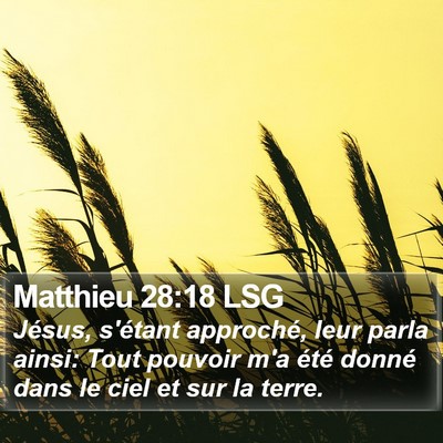 Matthieu 28:18 LSG Bible Verse Image