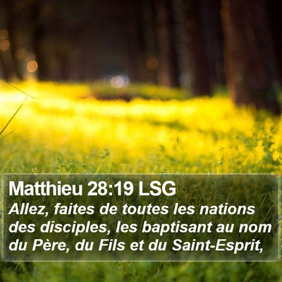 Matthieu 28:19 LSG Bible Verse Image