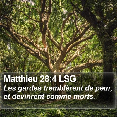 Matthieu 28:4 LSG Bible Verse Image