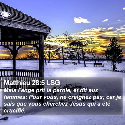 Matthieu 28:5 LSG Bible Verse Image