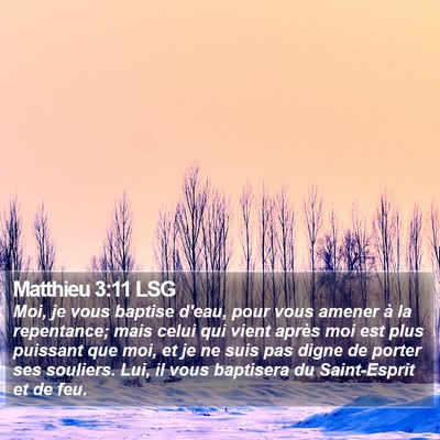 Matthieu 3:11 LSG Bible Verse Image