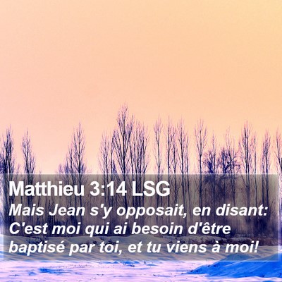 Matthieu 3:14 LSG Bible Verse Image