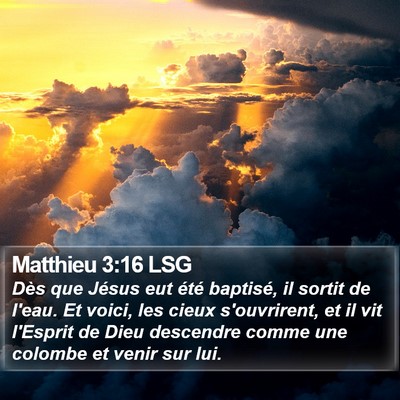 Matthieu 3:16 LSG Bible Verse Image