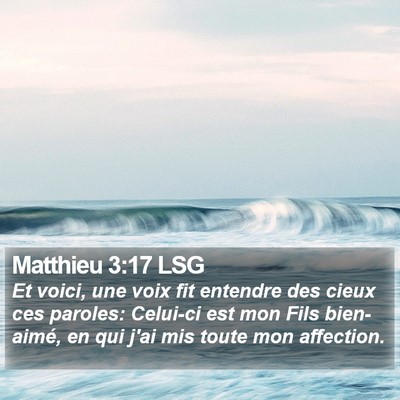 Matthieu 3:17 LSG Bible Verse Image