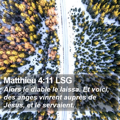 Matthieu 4:11 LSG Bible Verse Image