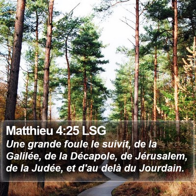 Matthieu 4:25 LSG Bible Verse Image