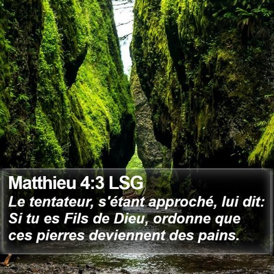 Matthieu 4:3 LSG Bible Verse Image