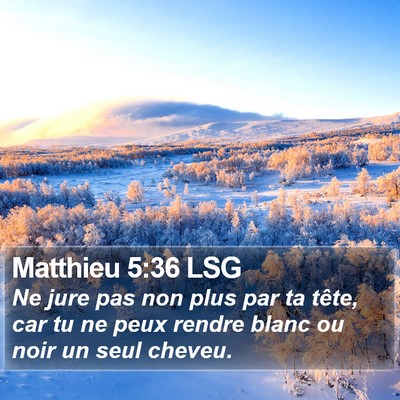 Matthieu 5:36 LSG Bible Verse Image
