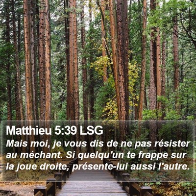 Matthieu 5:39 LSG Bible Verse Image