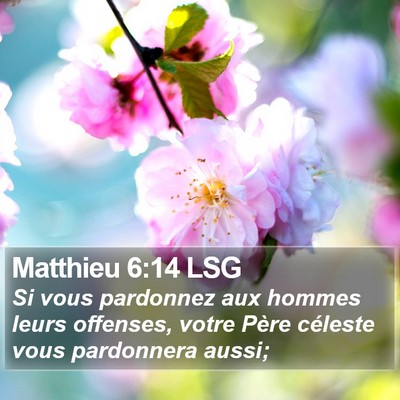 Matthieu 6:14 LSG Bible Verse Image