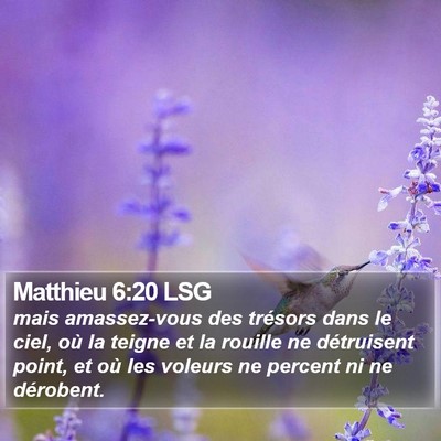 Matthieu 6:20 LSG Bible Verse Image