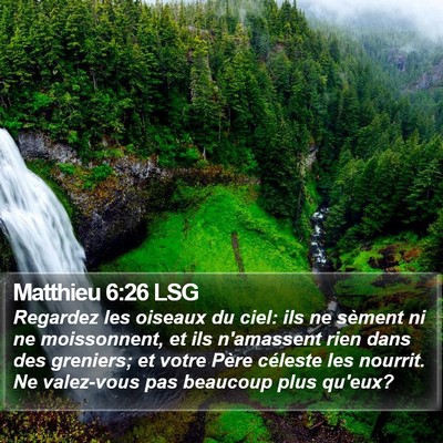 Matthieu 6:26 LSG Bible Verse Image