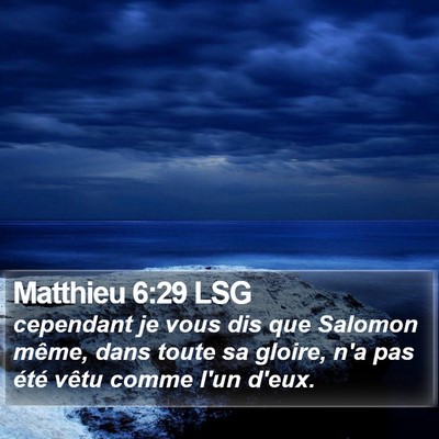 Matthieu 6:29 LSG Bible Verse Image