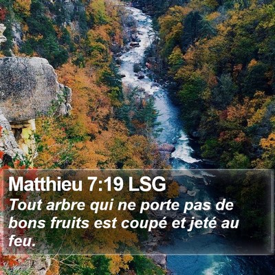 Matthieu 7:19 LSG Bible Verse Image