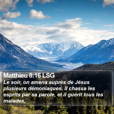 Matthieu 8:16 LSG Bible Verse Image