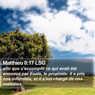Matthieu 8:17 LSG Bible Verse Image