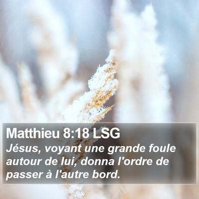 Matthieu 8:18 LSG Bible Verse Image
