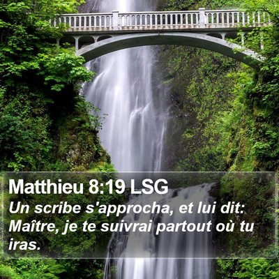 Matthieu 8:19 LSG Bible Verse Image