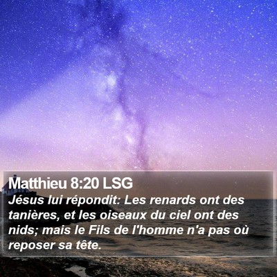 Matthieu 8:20 LSG Bible Verse Image