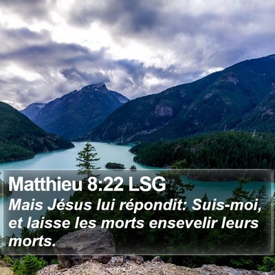 Matthieu 8:22 LSG Bible Verse Image