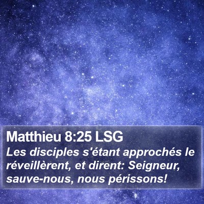 Matthieu 8:25 LSG Bible Verse Image