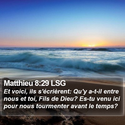 Matthieu 8:29 LSG Bible Verse Image