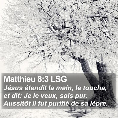 Matthieu 8:3 LSG Bible Verse Image