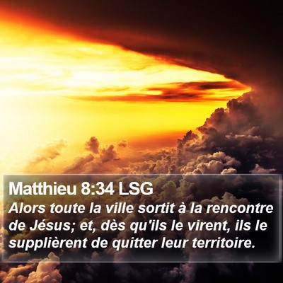 Matthieu 8:34 LSG Bible Verse Image