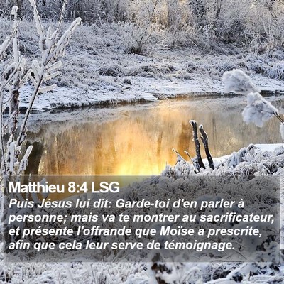 Matthieu 8:4 LSG Bible Verse Image