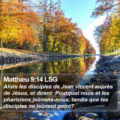 Matthieu 9:14 LSG Bible Verse Image