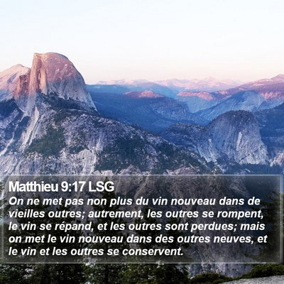 Matthieu 9:17 LSG Bible Verse Image