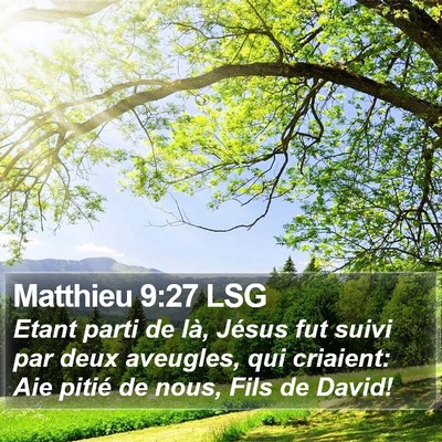 Matthieu 9:27 LSG Bible Verse Image
