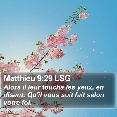 Matthieu 9:29 LSG Bible Verse Image