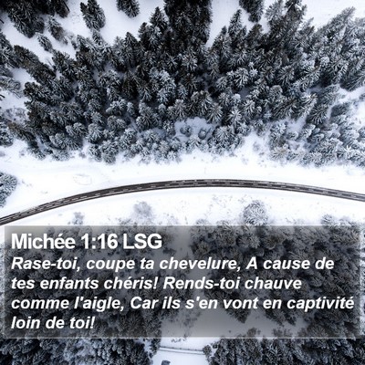 Michée 1:16 LSG Bible Verse Image